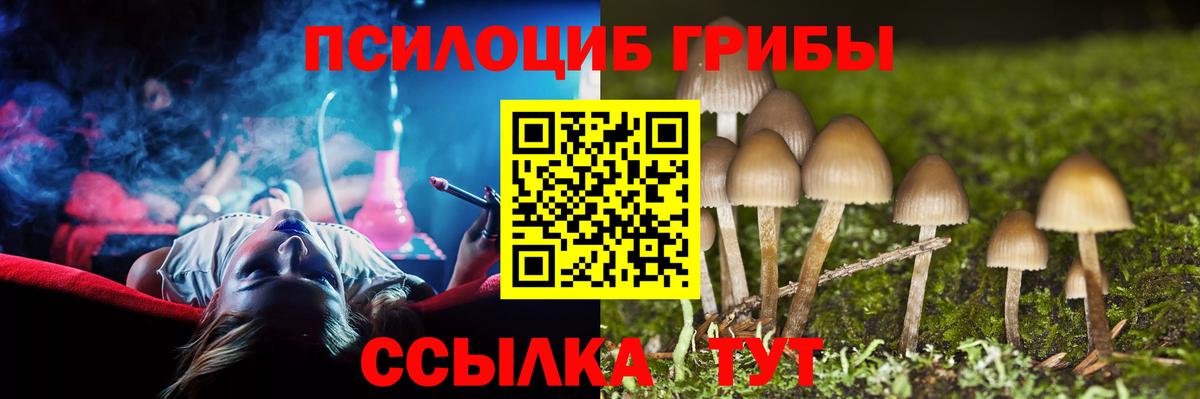Галлюциногенные грибы MAGIC MUSHROOMS  Вход с VPN  Галлюциногенные грибы Psilocybine cubensis  Каменск-Уральский 